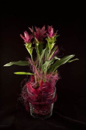Blumen
