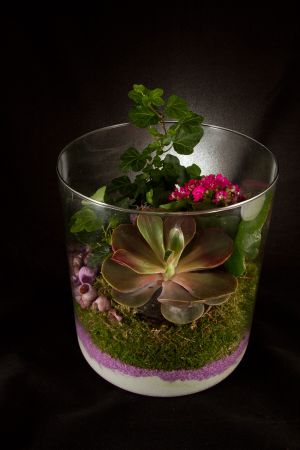 Blumen