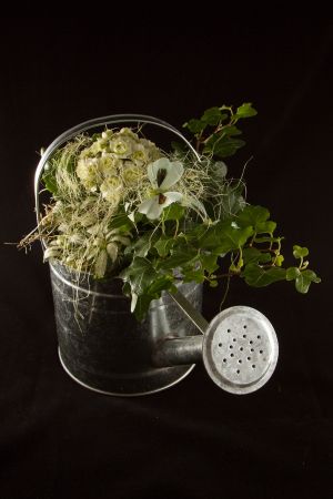 Blumen